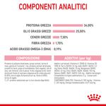 RC-SPT-DRY-Babycat-CV-6-it_IT