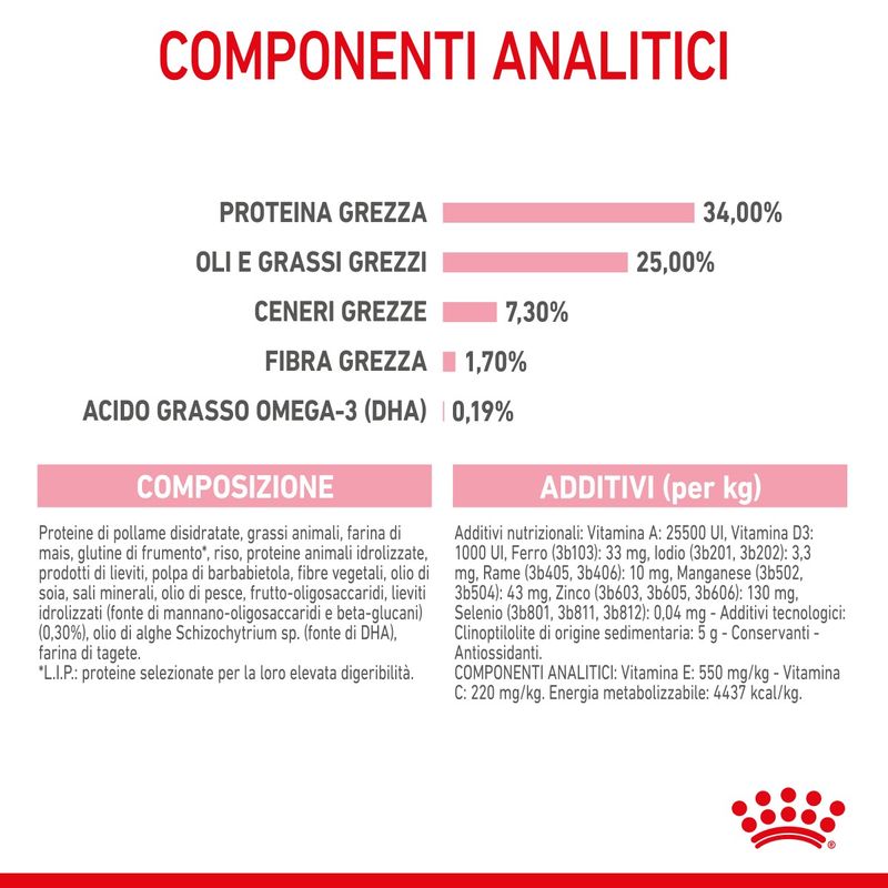 RC-SPT-DRY-Babycat-CV-6-it_IT