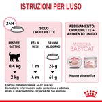 RC-SPT-DRY-Babycat-CV-7-it_IT