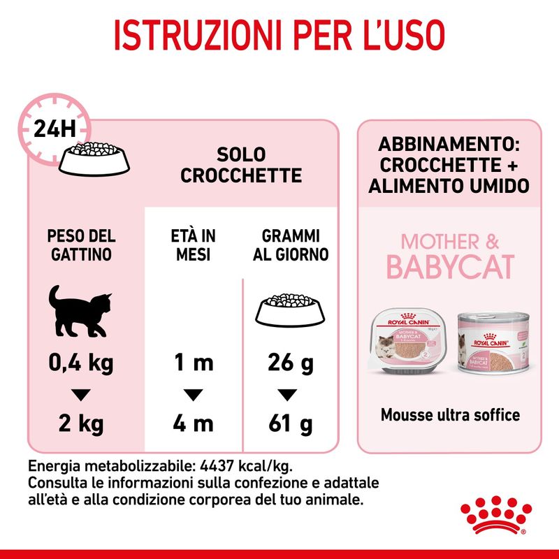 RC-SPT-DRY-Babycat-CV-7-it_IT