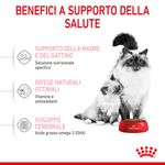 RC-SPT-DRY-Babycat-CV-3-it_IT