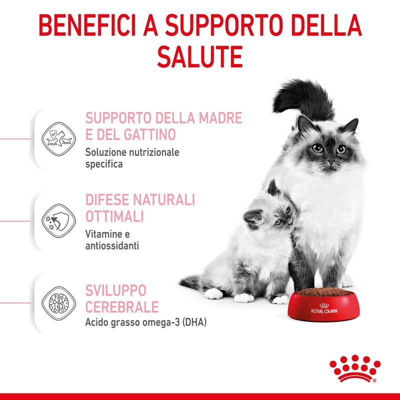RC-SPT-DRY-Babycat-CV-3-it_IT