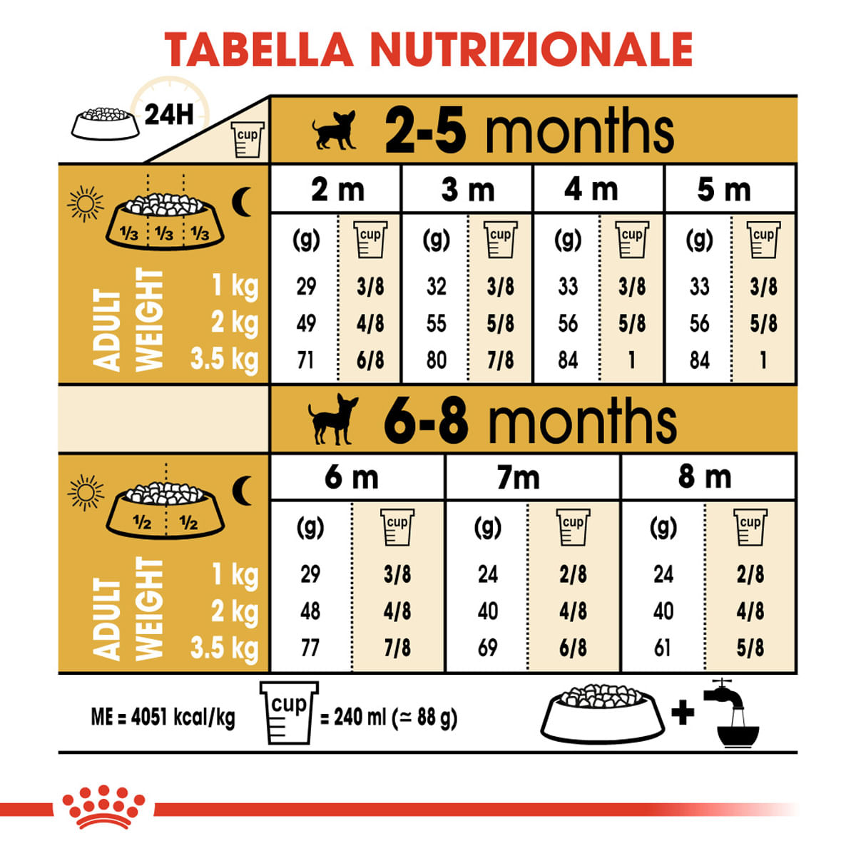 Royal canin dog food chihuahua sales