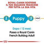 RC-BHN-PuppyFrenchBulldog-CM-EretailKit-1﻿-it_IT