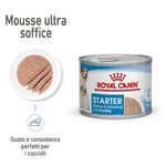 RC-SPT-WET-StarterMousse-CAN-MV-1-it_IT