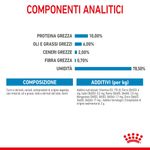 RC-SPT-WET-StarterMousse-CAN-CV-5-it_IT