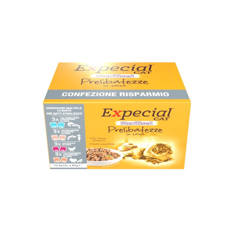 EXP_multipack-buste_12-pz_ster-Frontale-_10155847