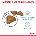 RC-FCN-HairballCare-CV-2-it_IT