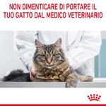 RC-FCN-UrinaryCareDry-CV-9-it_IT