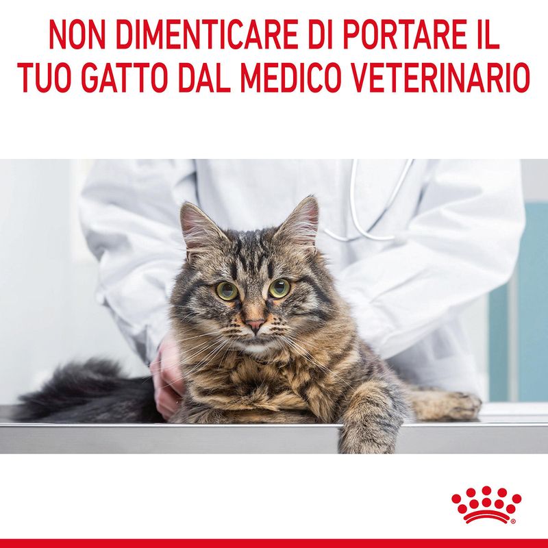 RC-FCN-UrinaryCareDry-CV-9-it_IT