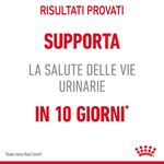 RC-FCN-UrinaryCareDry-CV-0-it_IT