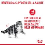 RC-FCN-UrinaryCareDry-CV-1-it_IT