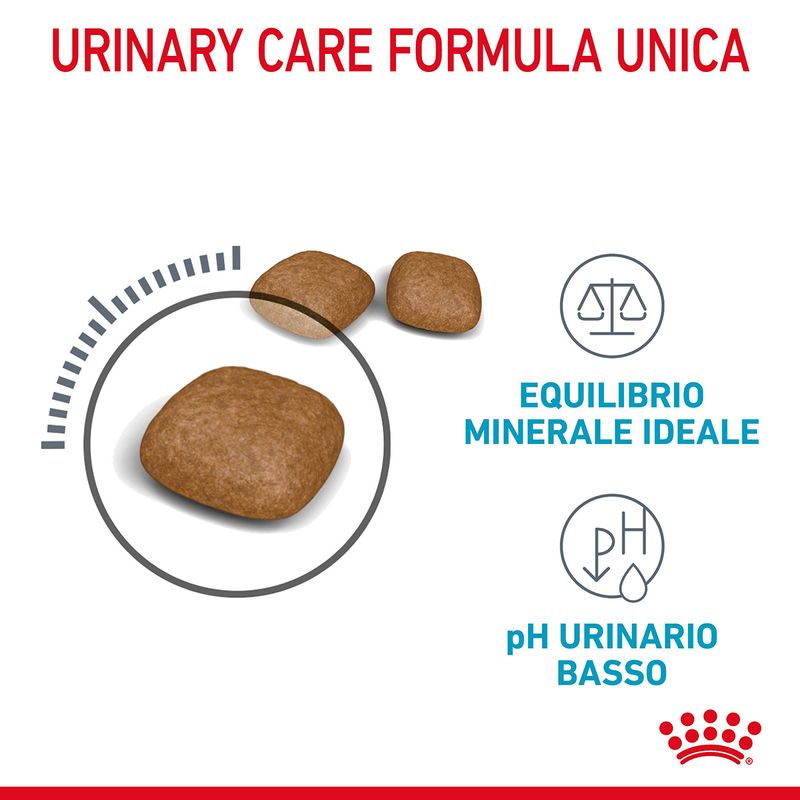 RC-FCN-UrinaryCareDry-CV-2-it_IT