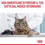 RC-FCN-DentalCare-CV-9-it_IT