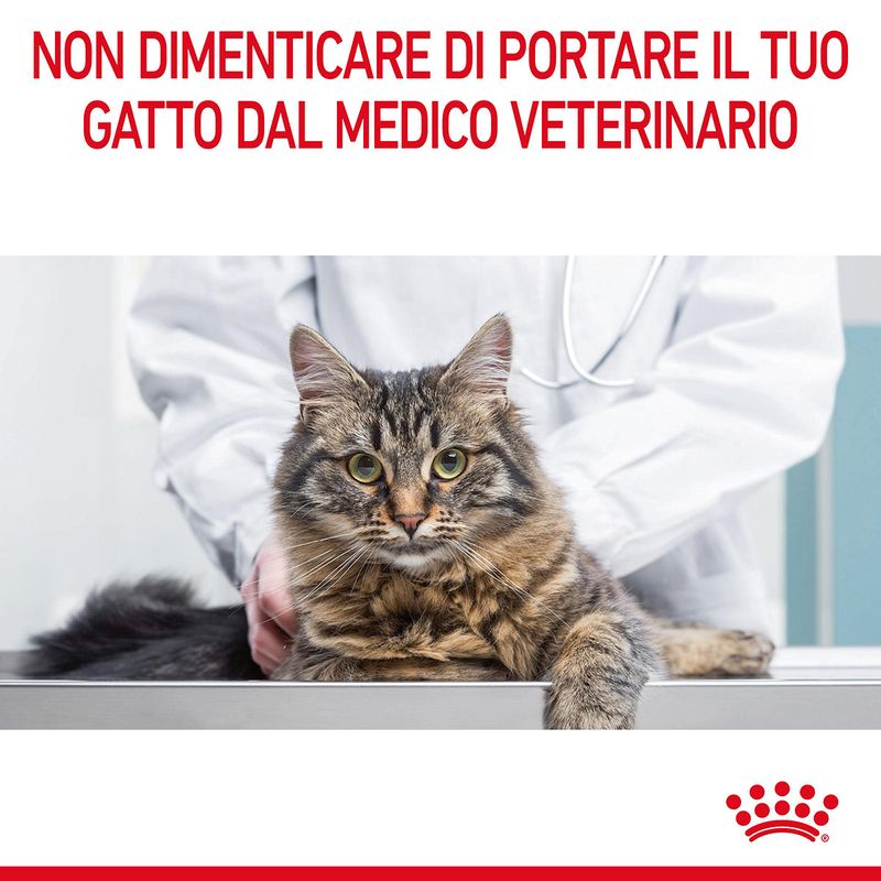 RC-FCN-DentalCare-CV-9-it_IT