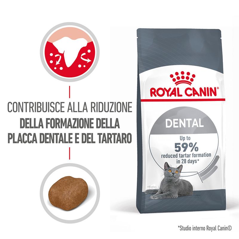 RC-FCN-DentalCare-MV-1-it_IT