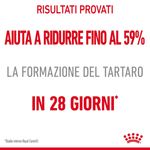 RC-FCN-DentalCare-CV-0-it_IT