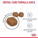 RC-FCN-DentalCare-CV-2-it_IT