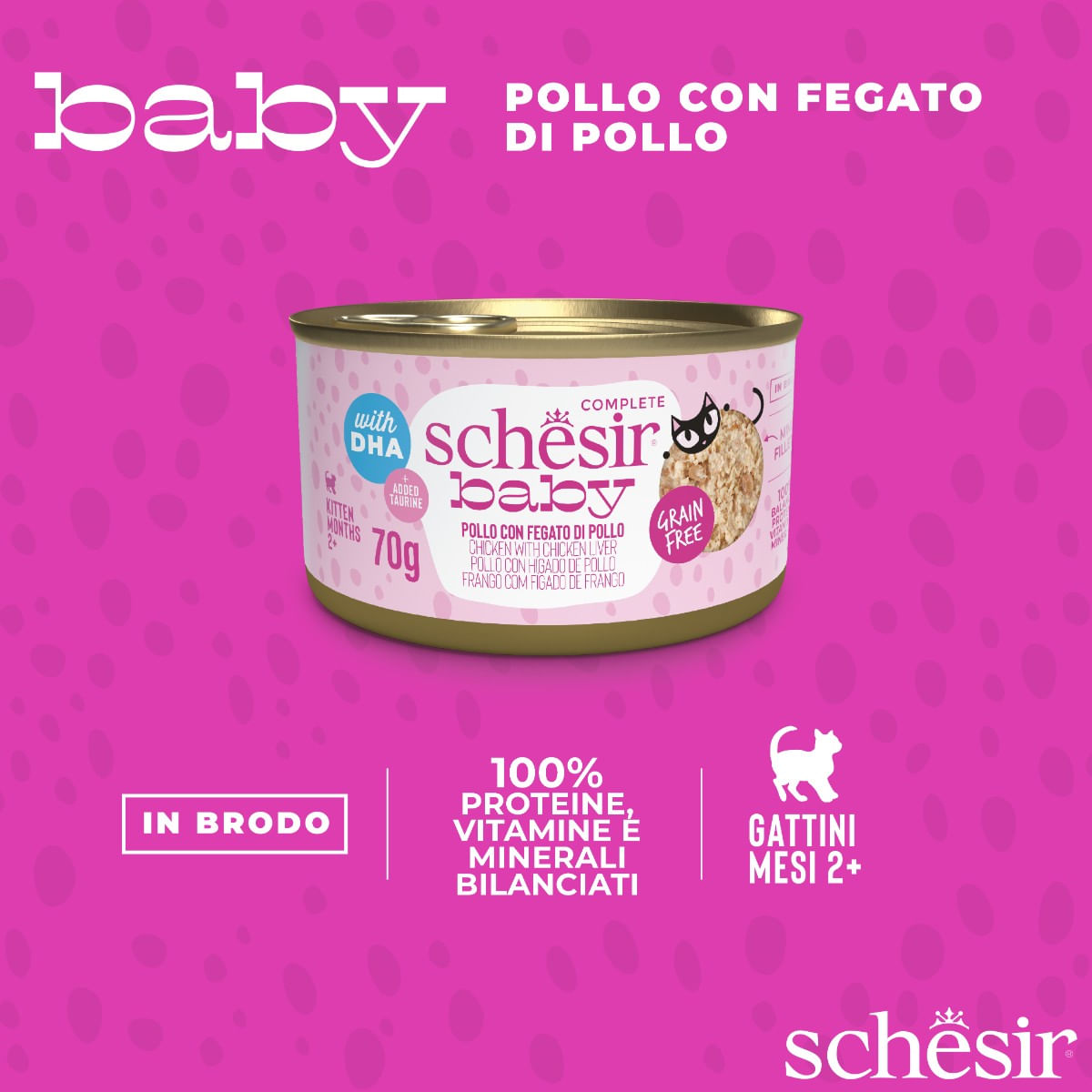 Schesir Baby Kitten Lattina Multipack 12x70G