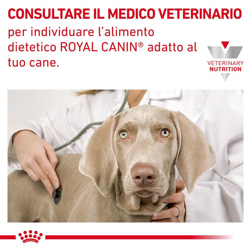 RC-VHN-GastrointestinalLowFatSmallDog-CV-9-it_IT_1200x1200