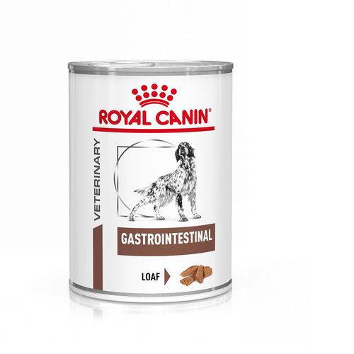 Royal Canin V-Diet Gastrointestinal Low Fat Alimento dietetico completo per cani adulti