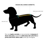 misura-dorso-cane-10170126