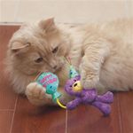 gioco-gatto-kong-occassions-birthday-teddy-presentazione-10169545