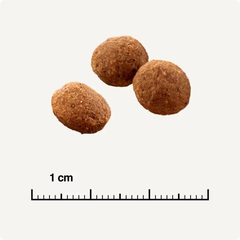 Select-Gold-Cat-SterIlised-Adult-Pollame-e-Patate.10168493