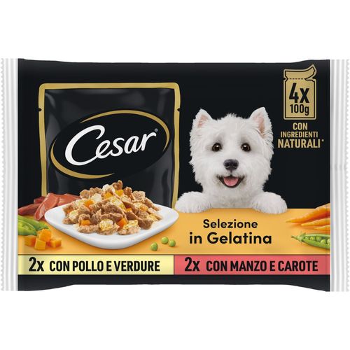 Cesar Dog Busta in Gelatina Multipack 4x100G