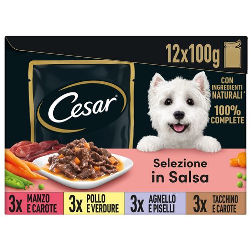 Cesar Dog Busta in Salsa Multipack 12X100G