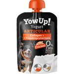 YowUp--Yogurt-Dog-Articular-Chicken-10169440