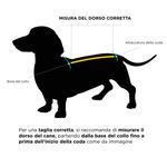 misura-dorso-cane-10169328