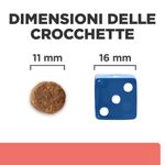 Dimensioni-crocchette-10170395-10170396