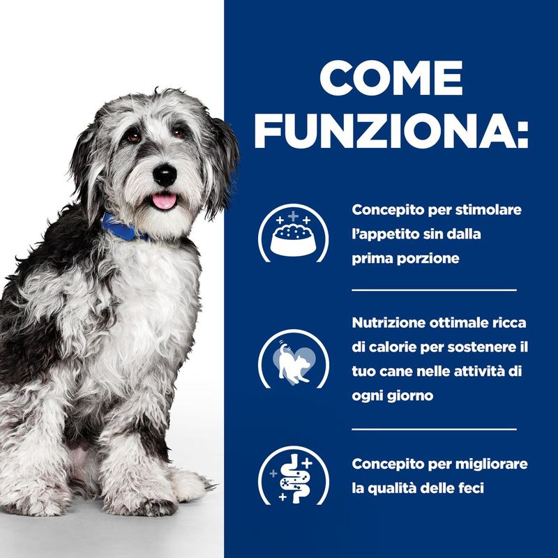 come-funziona-10170395-10170396