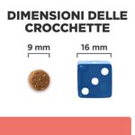 dimensioni-crocchette-10168752