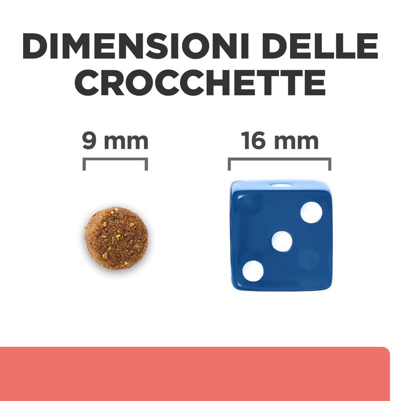 dimensioni-crocchette-10168752