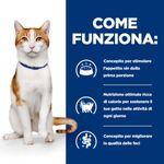 Come-funziona-10168752