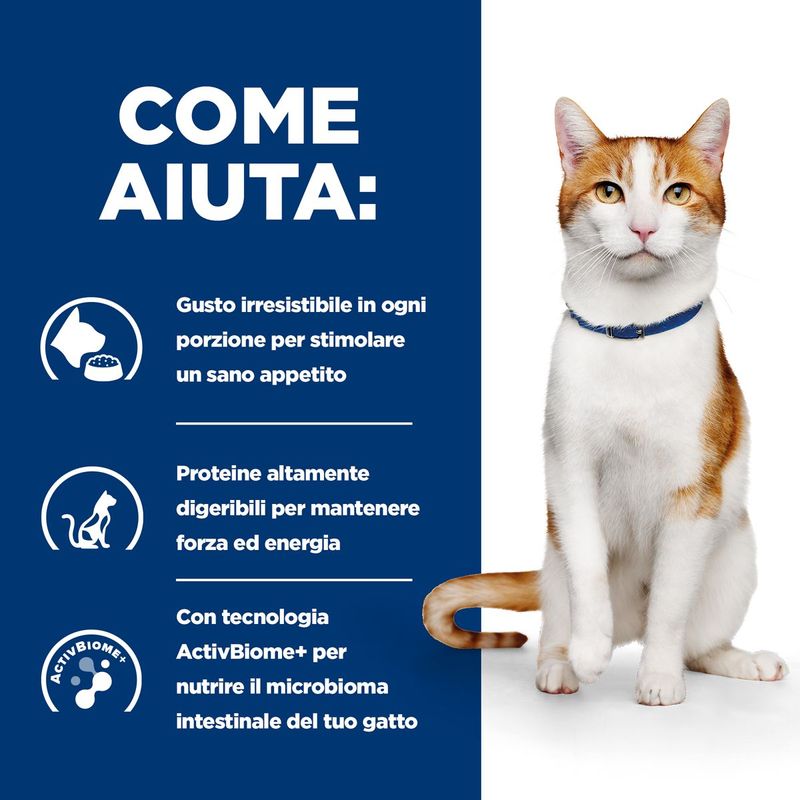 Come-aiuta-10168752