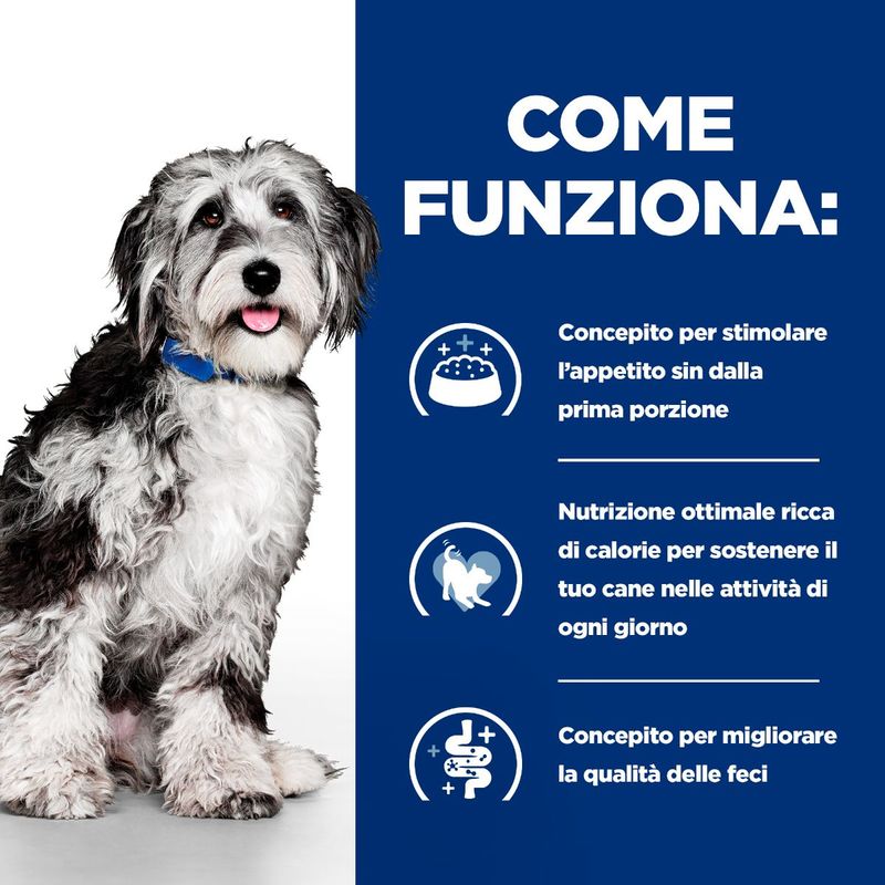 come-funziona-10168760