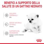 benefici-Royal-Canin-Babycat-Milk-10112577