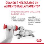 tempo-Royal-Canin-Babycat-Milk-10112577