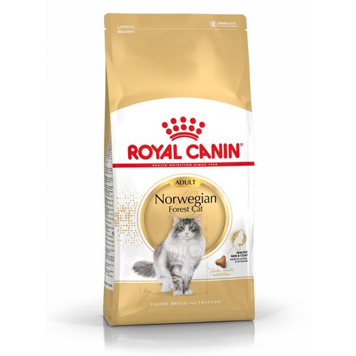 Royal Canin Gatto Norvegese delle Foreste