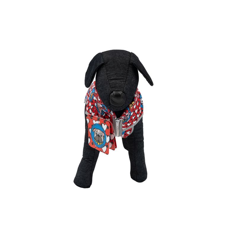 Enriquez-Cappottino-per-Cane-10170386..