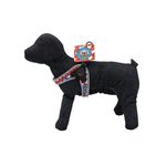 Enriquez-Pettorina-per-Cane-10170393