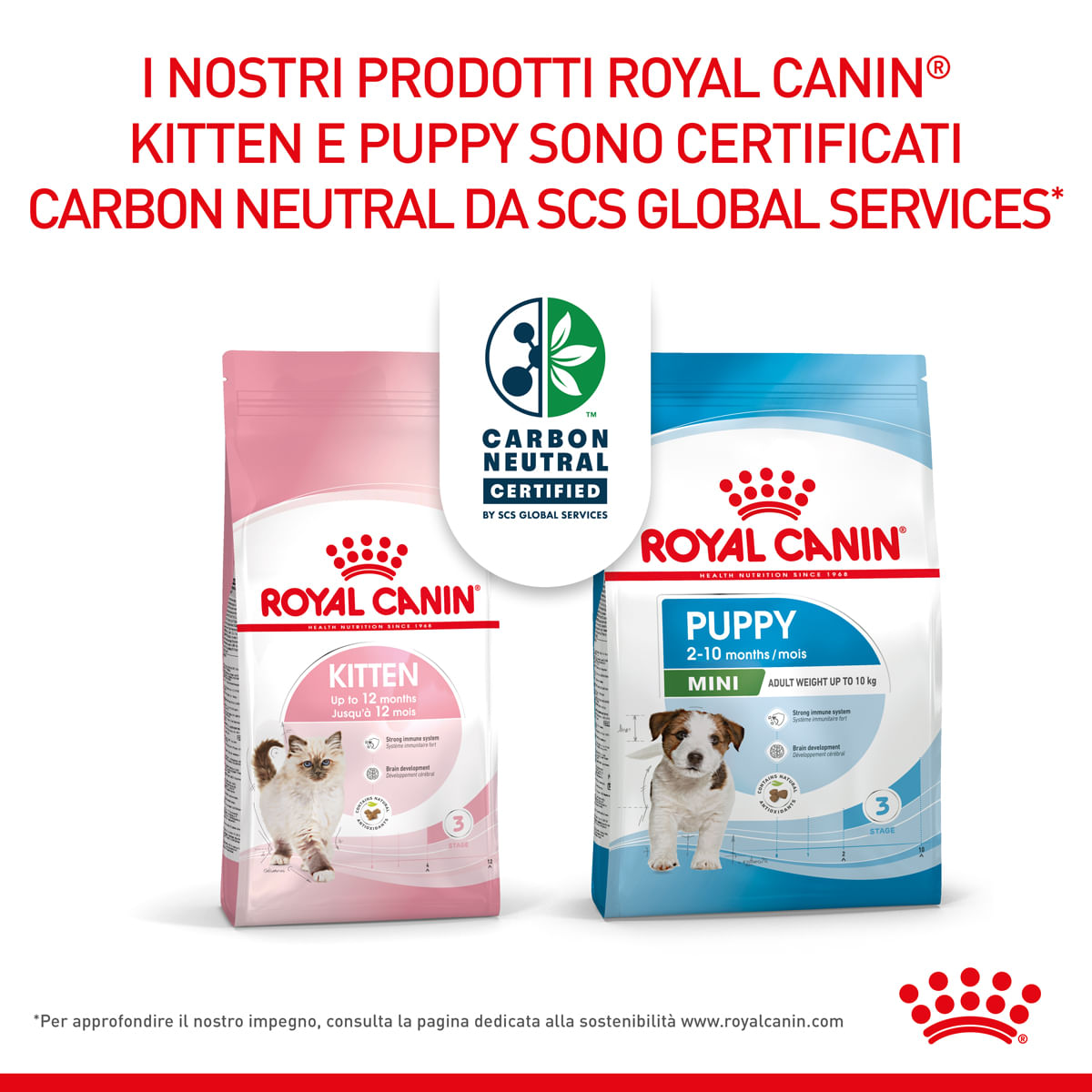Royal Canin per Cane Mini Puppy 1 Bustina da 85,00 gr