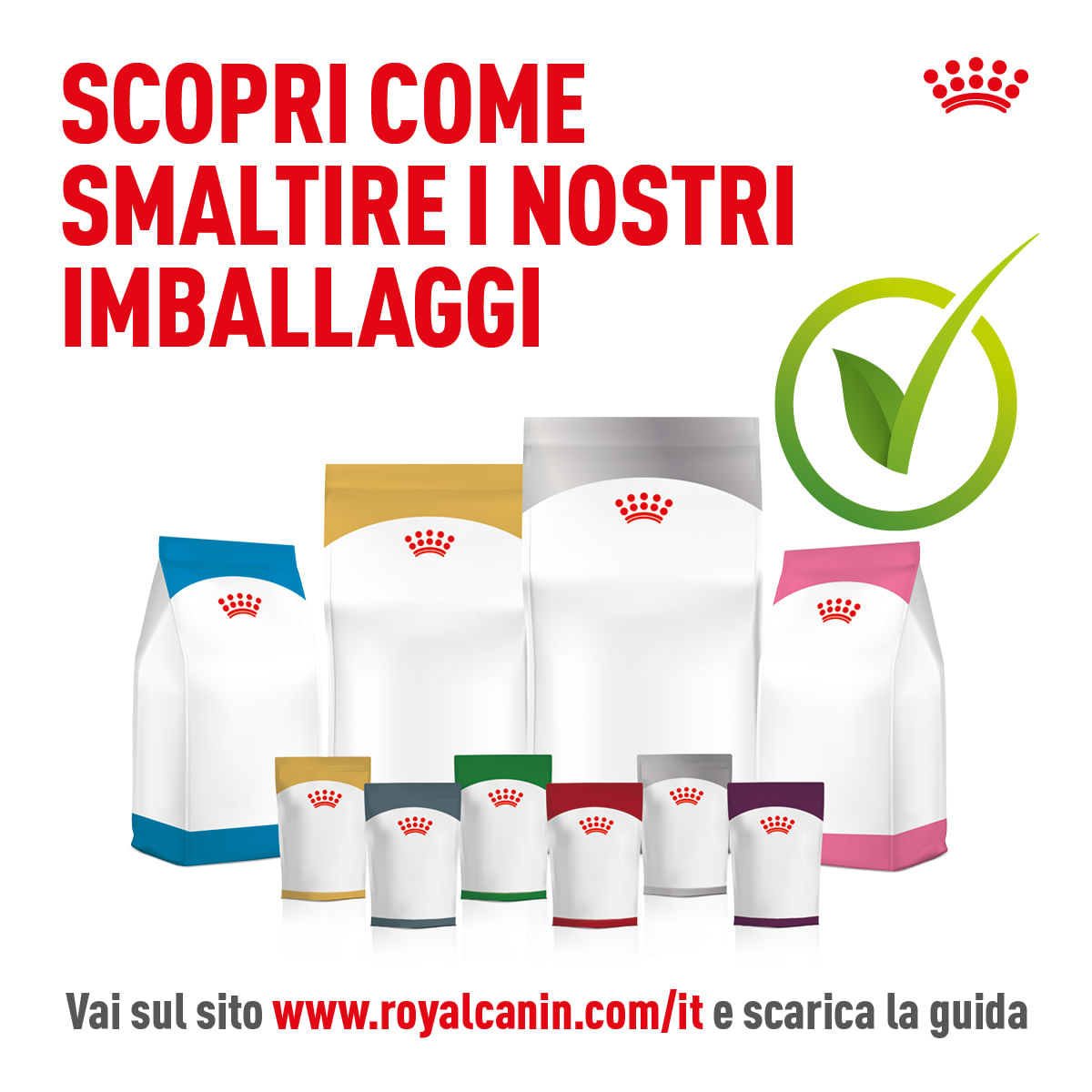 Gastro intestinal Moderate Calorie buste umido gatto Royal Canin