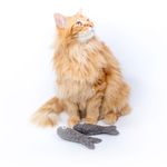 Mimi’s-Daughters-Gioco-Gatto-Felix-Fish-10170477-