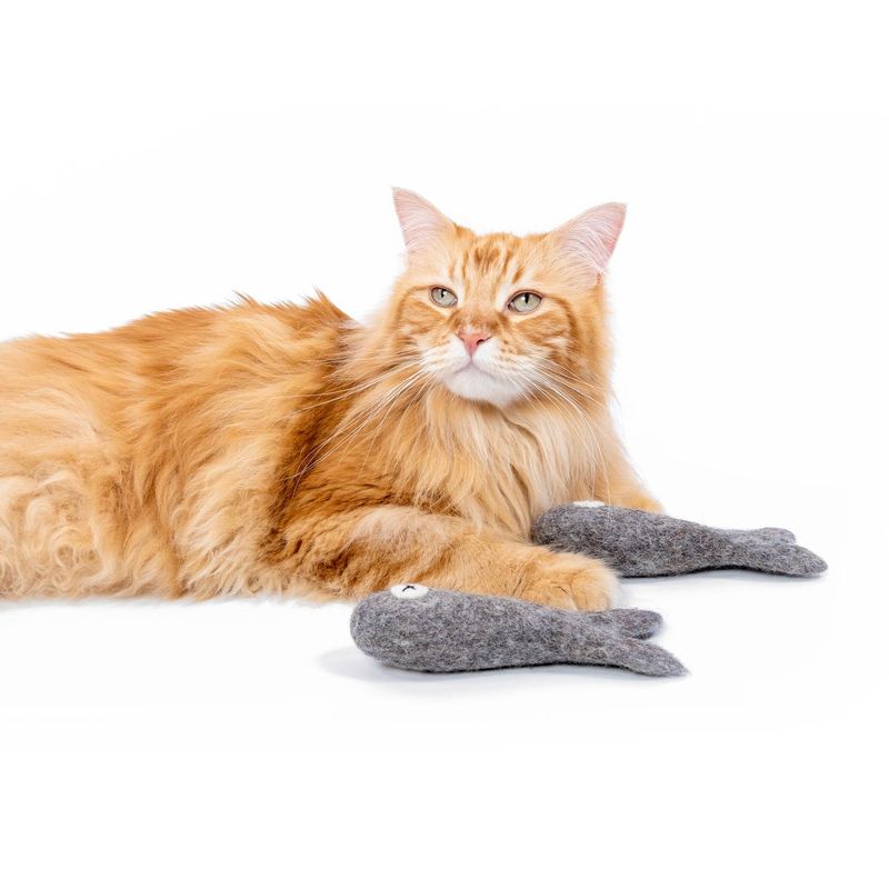 Mimi’s-Daughters-Gioco-Gatto-Felix-Fish-10170477..