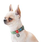 Waudog-Collare-Re-Cotton-per-Cane-Verde-10172708-3