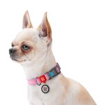Waudog-Collare-Re-Cotton-per-Cane-Rosa-10172709-3